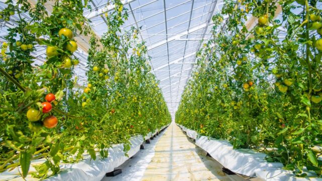 株式会社共走_メンテナンス