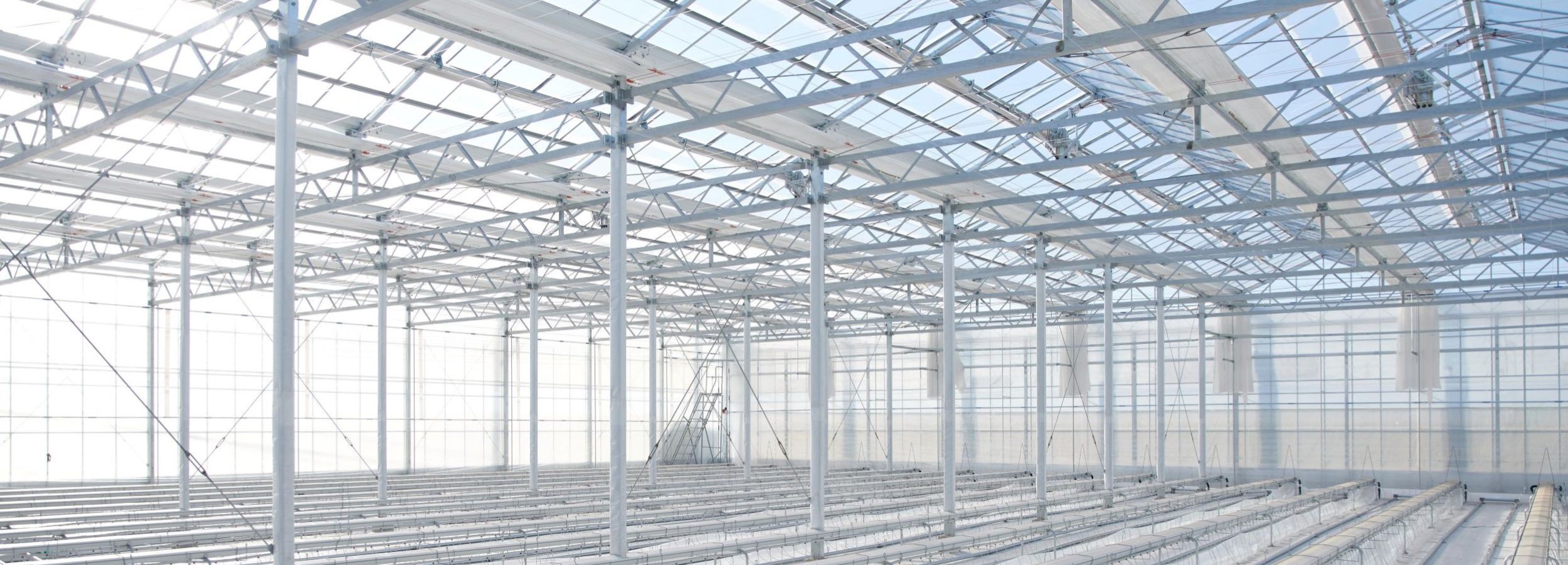 company Profile