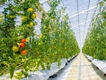 株式会社共走のメンテナンス事業