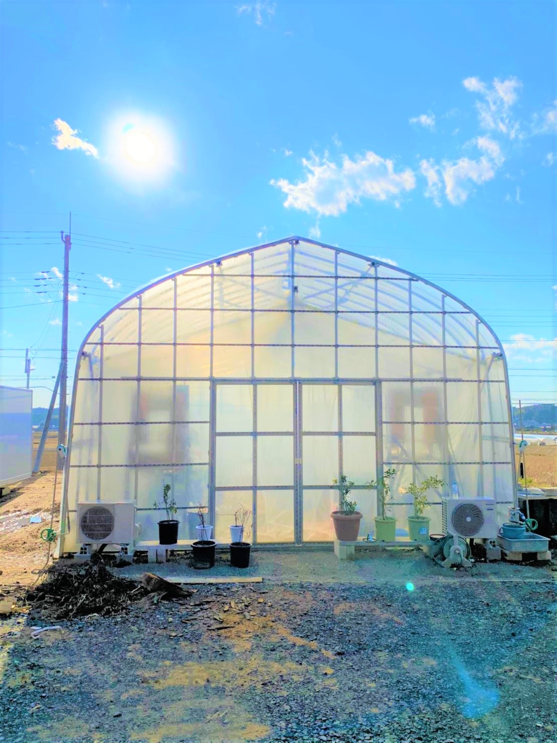 【温室】果樹用パイプハウス(29坪)|茨城県の施工実績