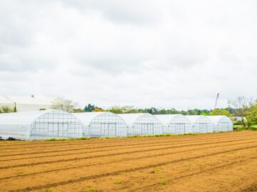 (株)共走|千葉県の施工実績|【3.5間】野菜栽培用ビニールハウス（456坪）の画像