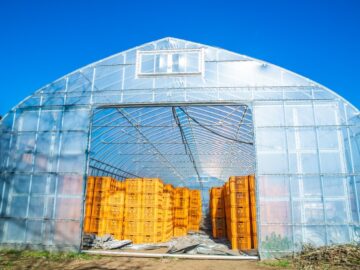 (株)共走|茨城県の施工実績|【間口7.2m】サツマイモ用ビニールハウス（50坪）の画像