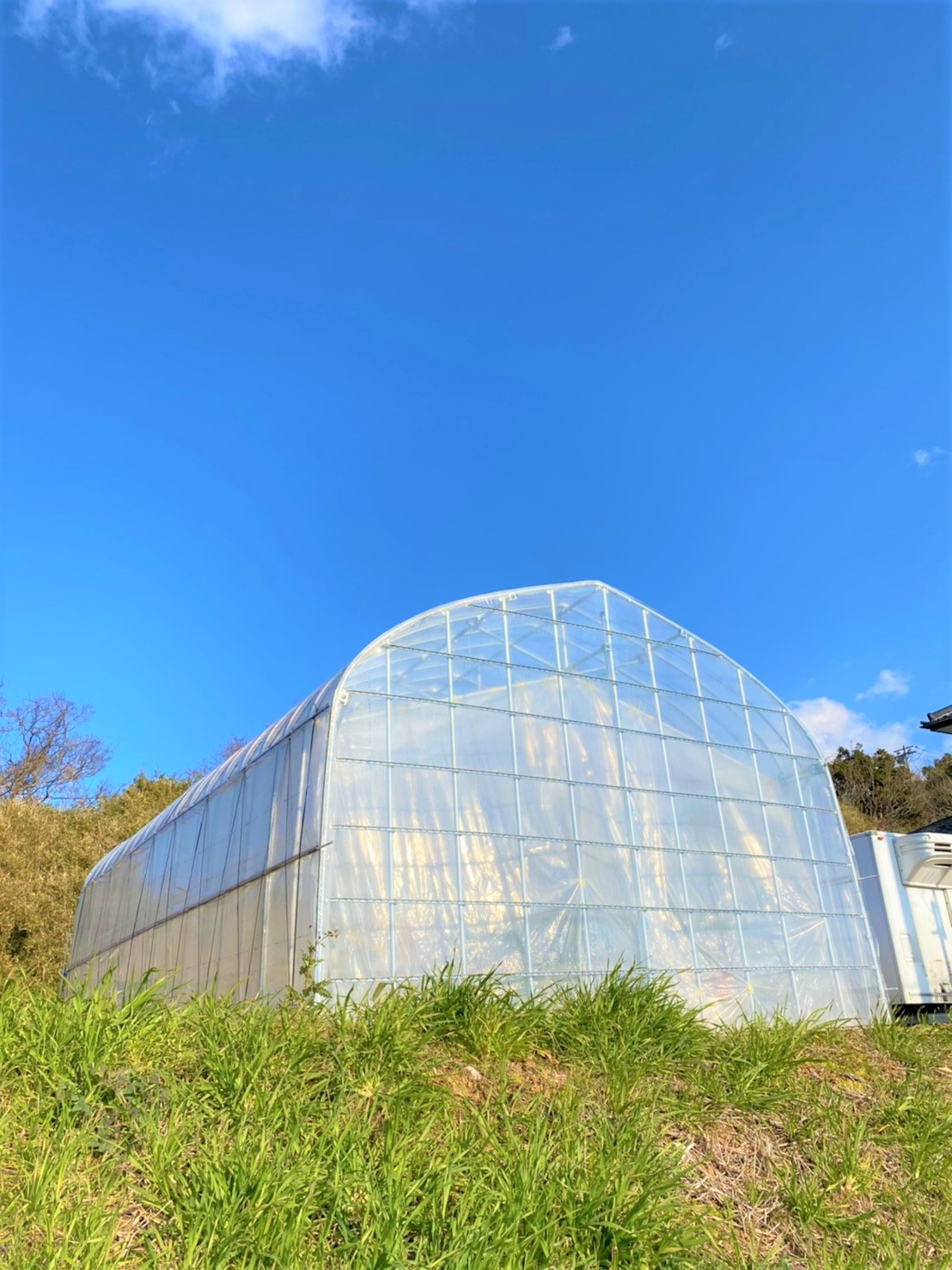 【温室】果樹用パイプハウス(29坪)|茨城県の施工実績
