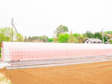 (株)共走|茨城県の施工実績|【間口6.3m】野菜栽培用パイプハウス（69坪）の画像