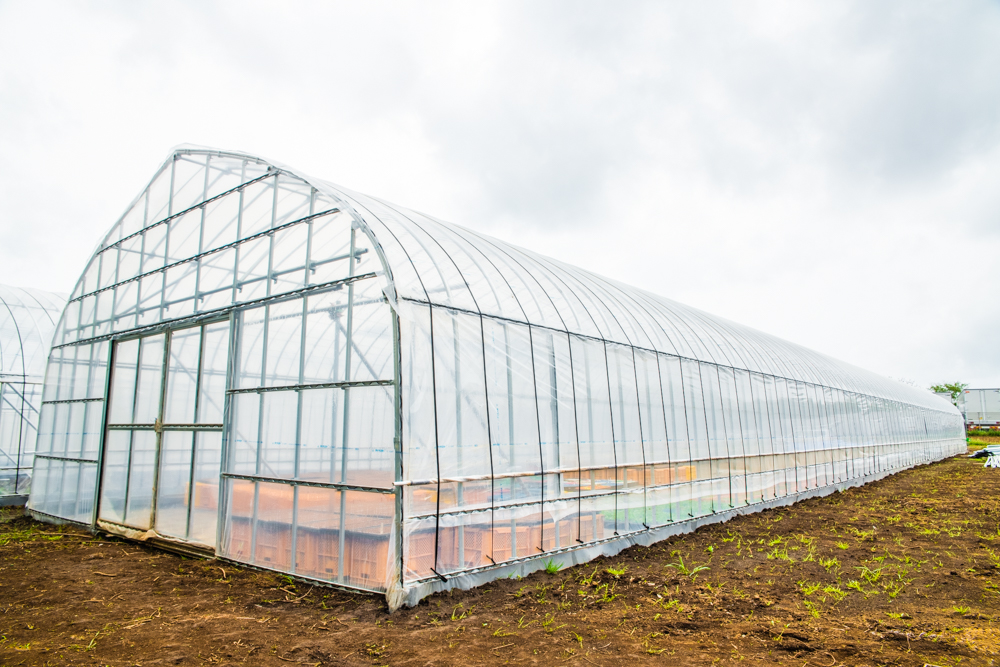 【3.5間】野菜栽培用ビニールハウス（456坪）|千葉県の施工実績