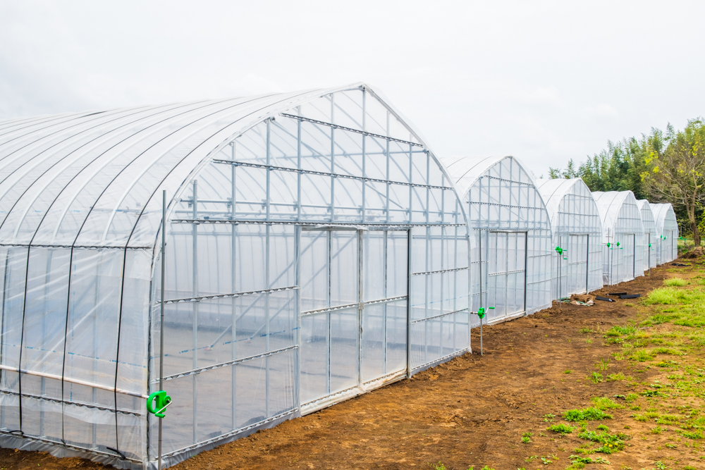 【3.5間】野菜栽培用ビニールハウス（456坪）|千葉県の施工実績