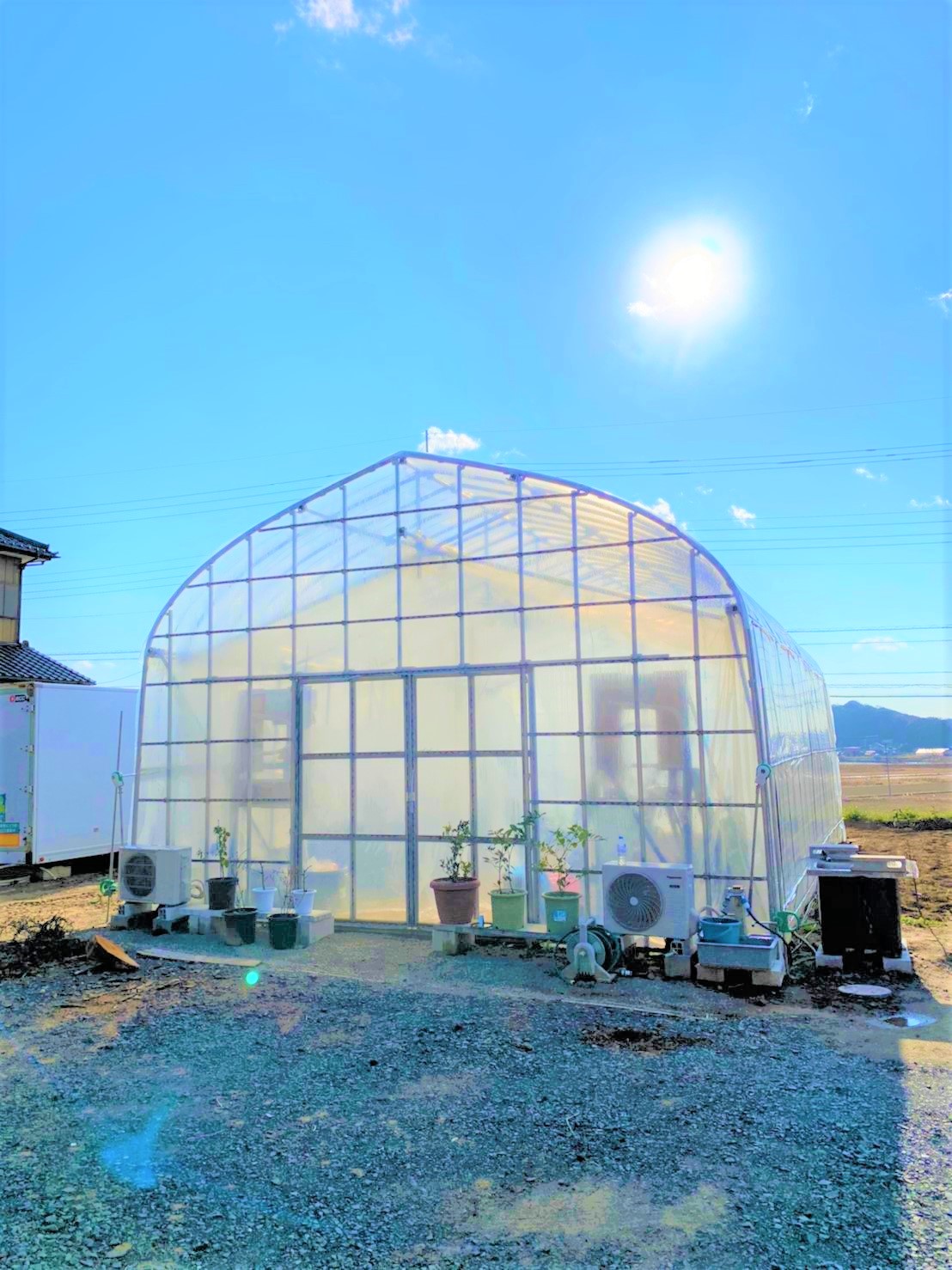 【温室】果樹用パイプハウス(29坪)|茨城県の施工実績
