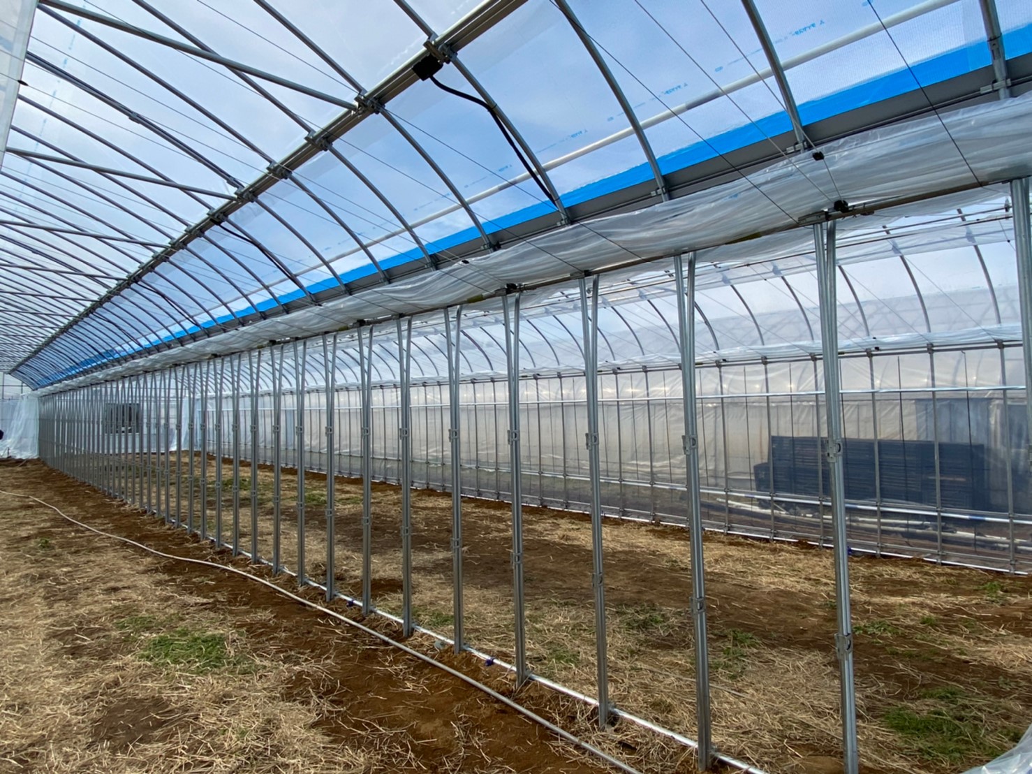 (株)共走|千葉県佐倉市の施工実績|【3連棟】花卉栽培用ビニールハウス(150坪)