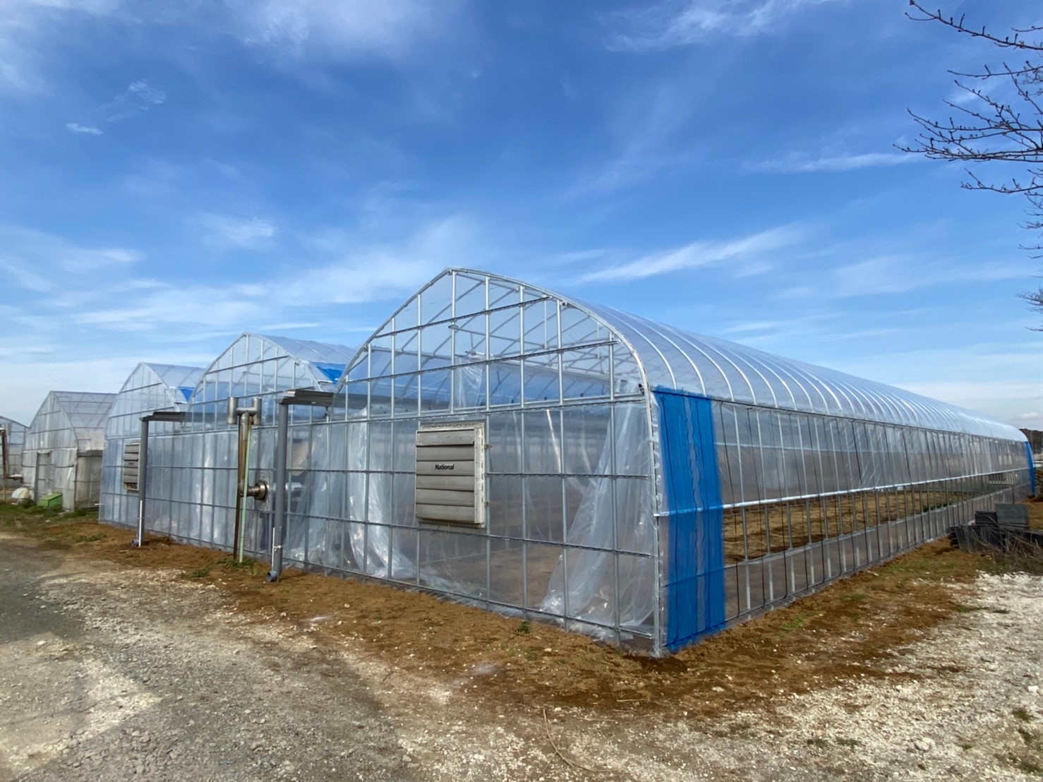 (株)共走|千葉県佐倉市の施工実績|【3連棟】花卉栽培用ビニールハウス(150坪)