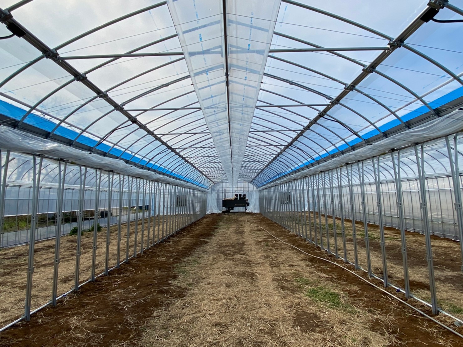 (株)共走|千葉県佐倉市の施工実績|【3連棟】花卉栽培用ビニールハウス(150坪)