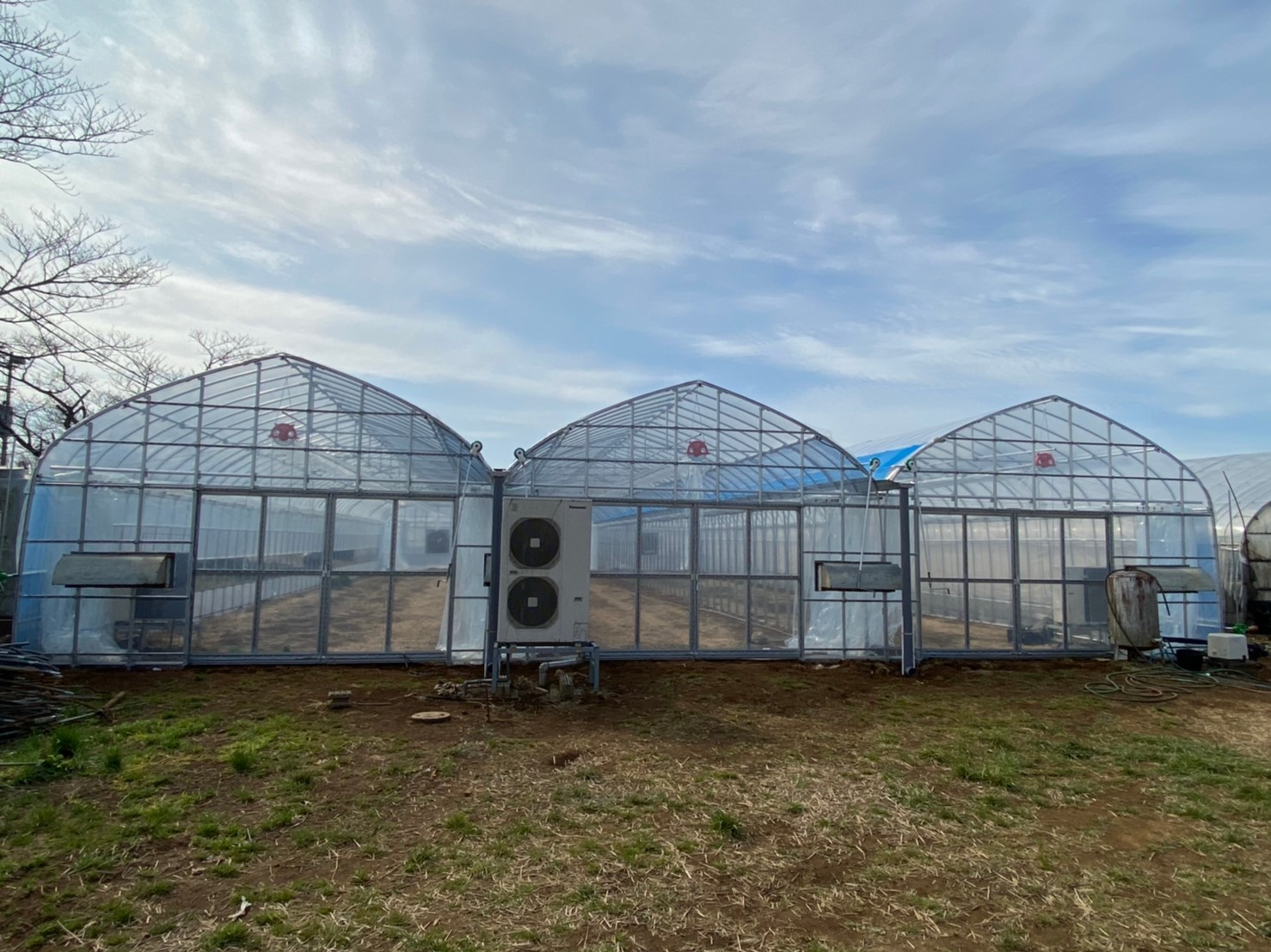 (株)共走|千葉県佐倉市の施工実績|【3連棟】花卉栽培用ビニールハウス(150坪)
