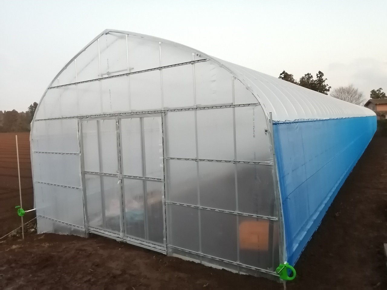 【3間】さつまいも育苗用ビニールハウス(95坪)|千葉県成田市の施工実績
