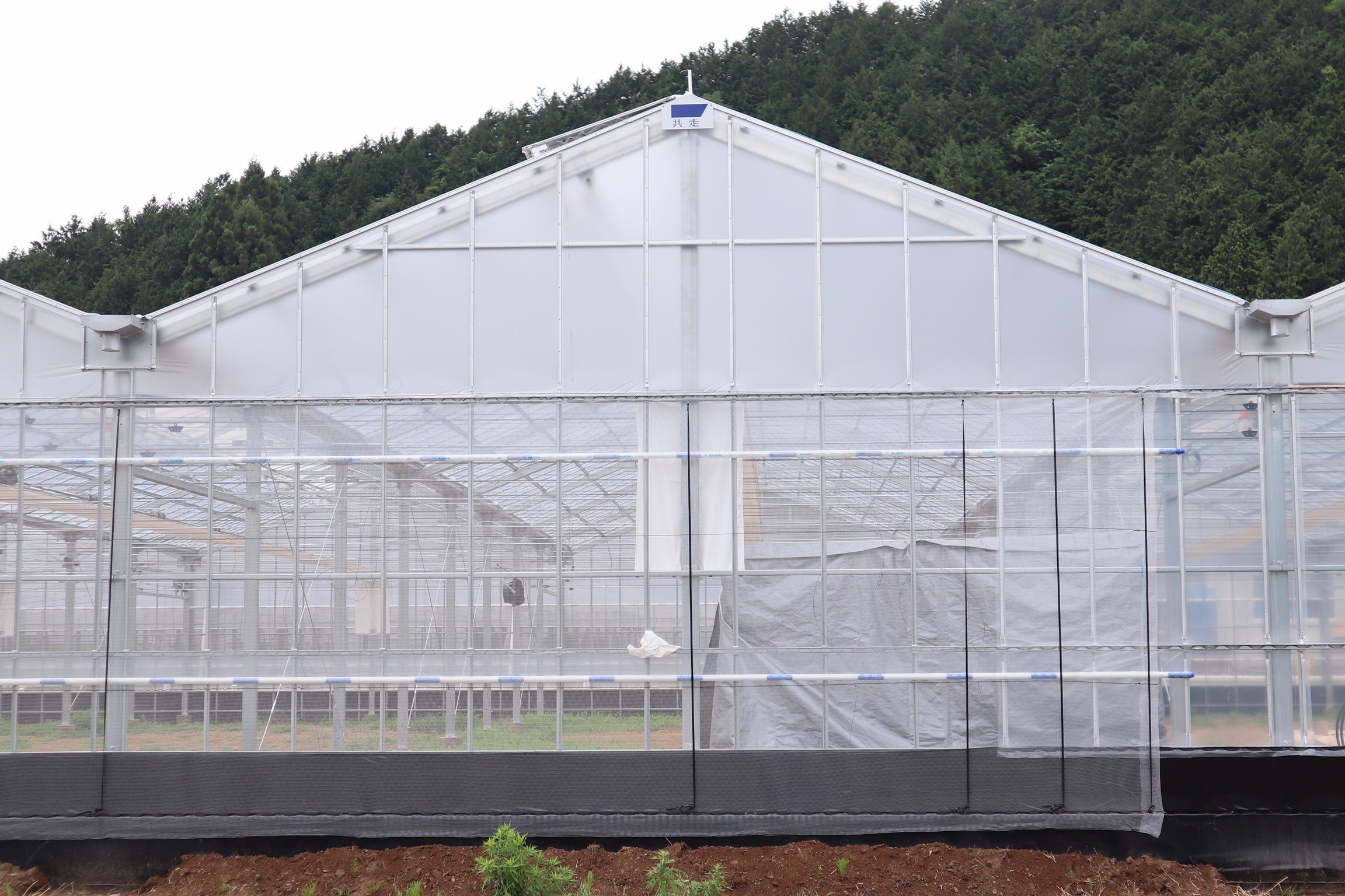 【10連棟】いちご用鉄骨ハウス(480坪)|埼玉県の施工実績