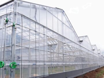(株)共走|埼玉県の施工実績|【10連棟】いちご用鉄骨ハウス（480坪）の画像