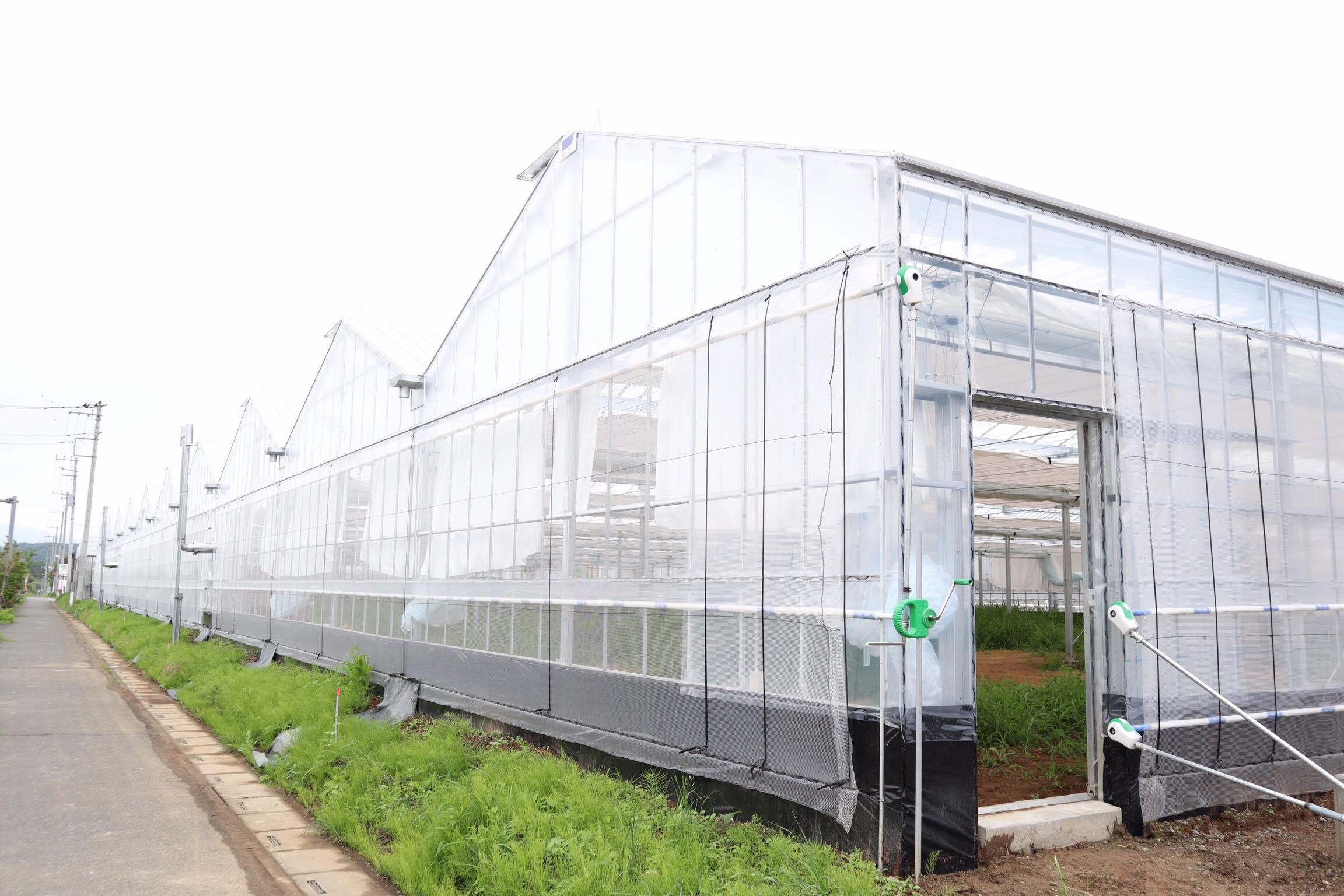 【10連棟】いちご用鉄骨ハウス(480坪)|埼玉県の施工実績