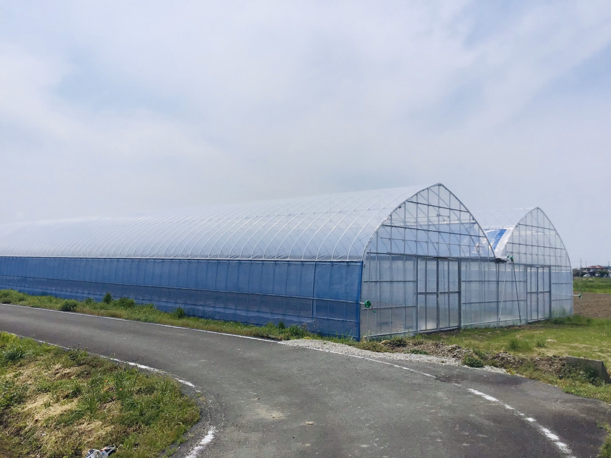 (株)共走|千葉県の施工実績|【間口7.2m】多品目栽培用パイプハウス（179坪）