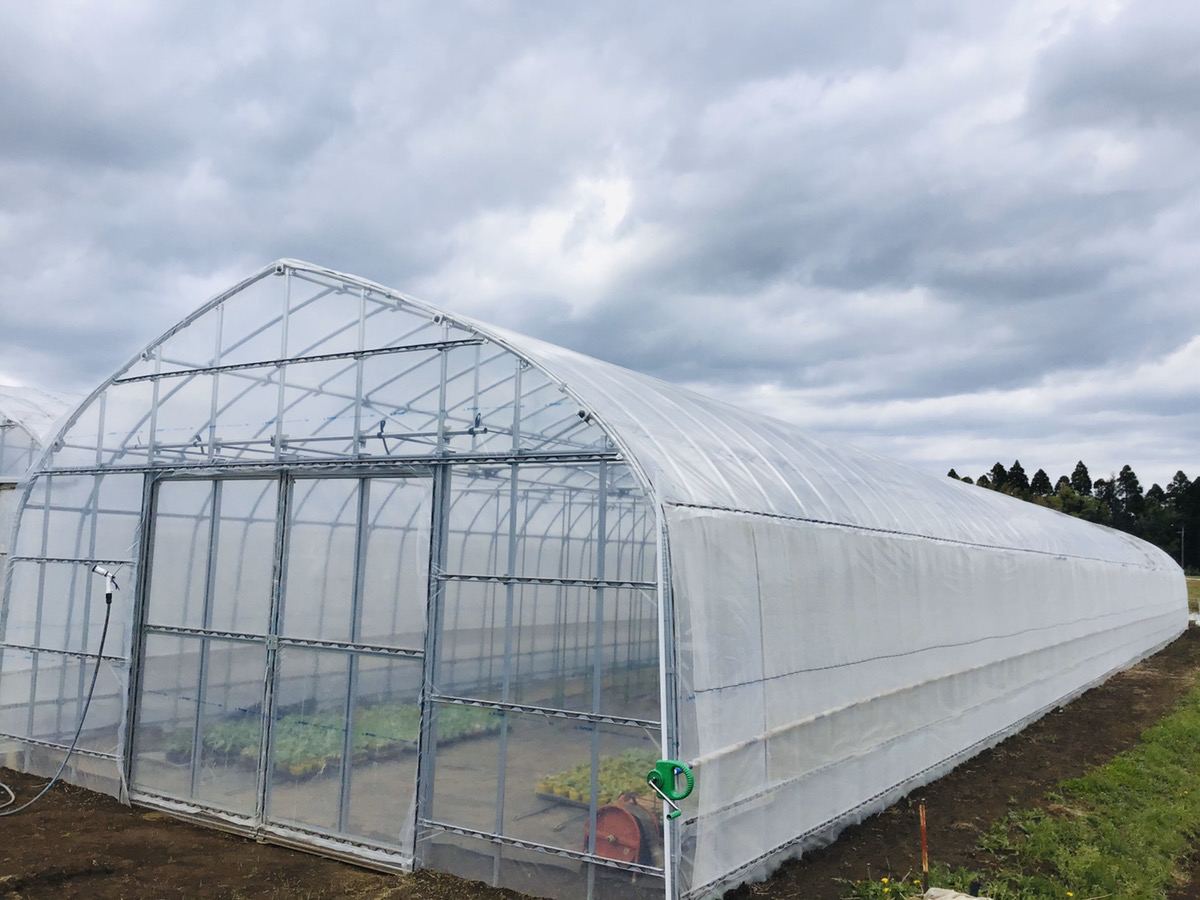 【新規就農】補強ビニールハウス（56坪）|千葉県の施工実績