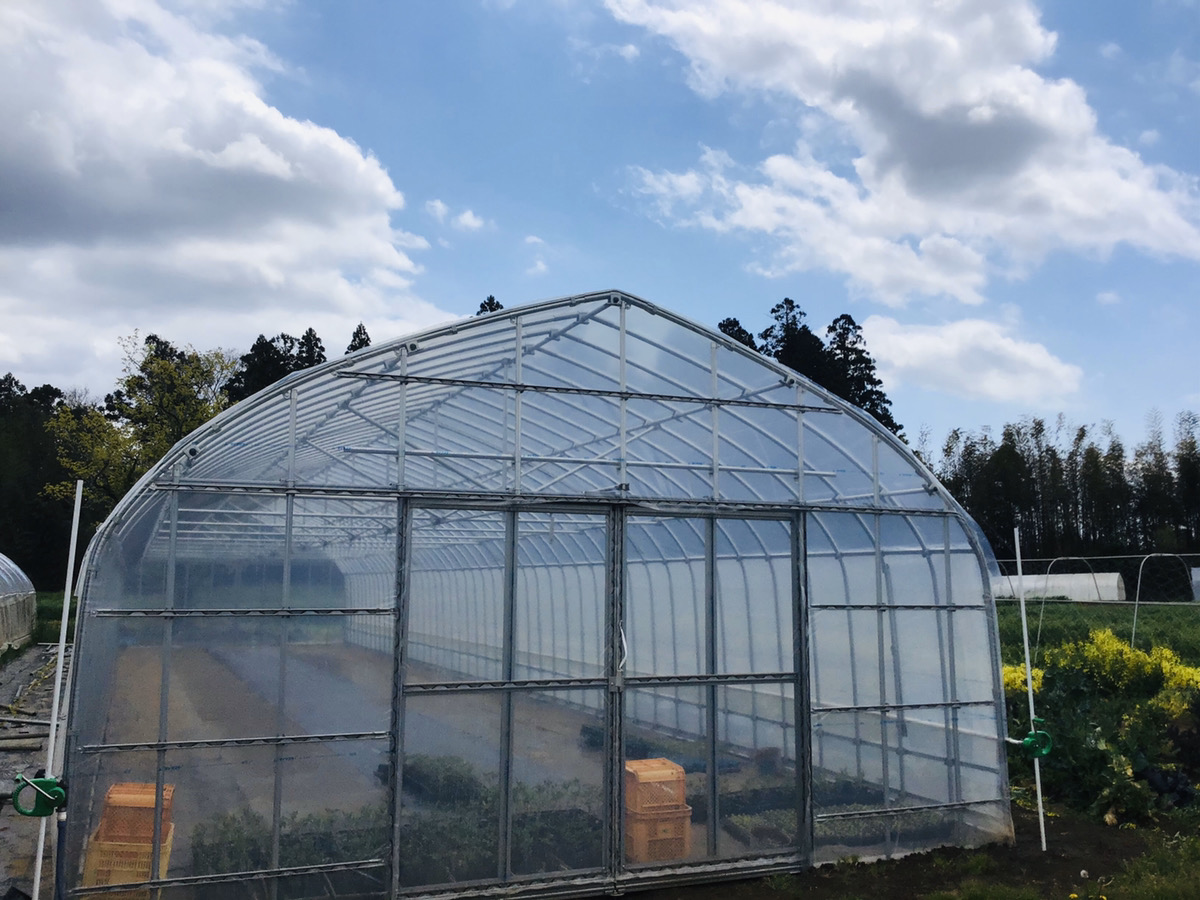 【新規就農】補強パイプハウス（39坪）|千葉県の施工実績