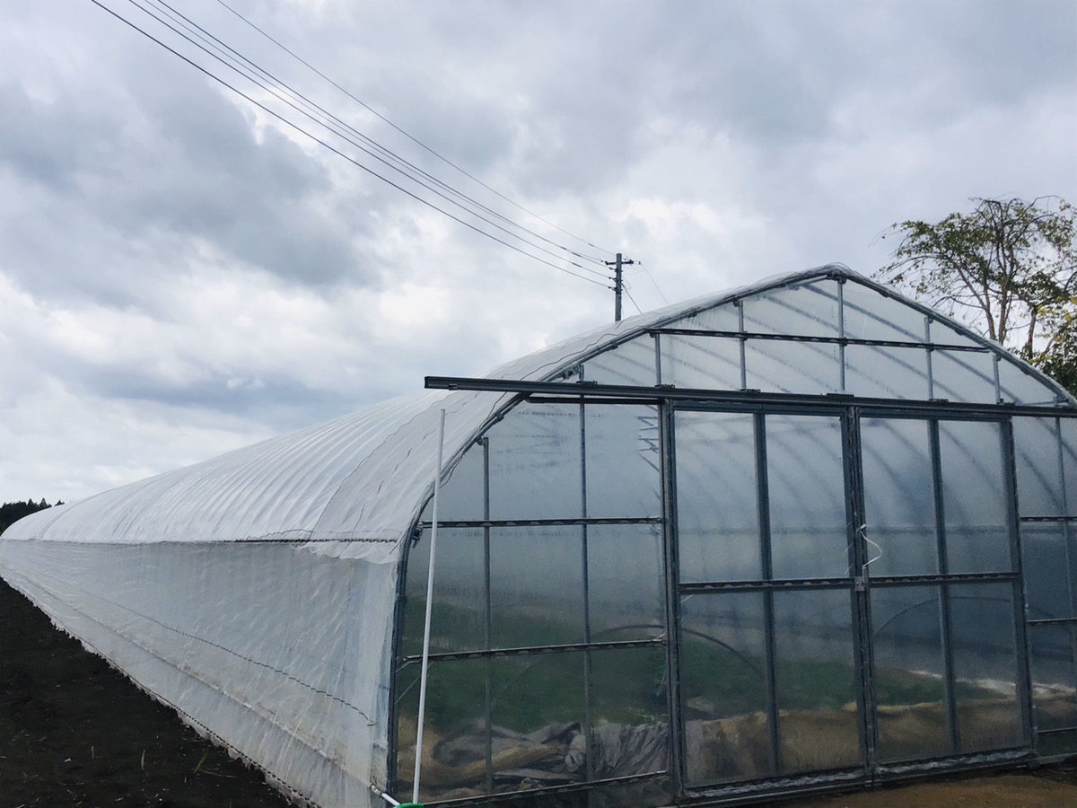 【3間】さつまいも育苗用ビニールハウス（92坪）|千葉県の施工実績