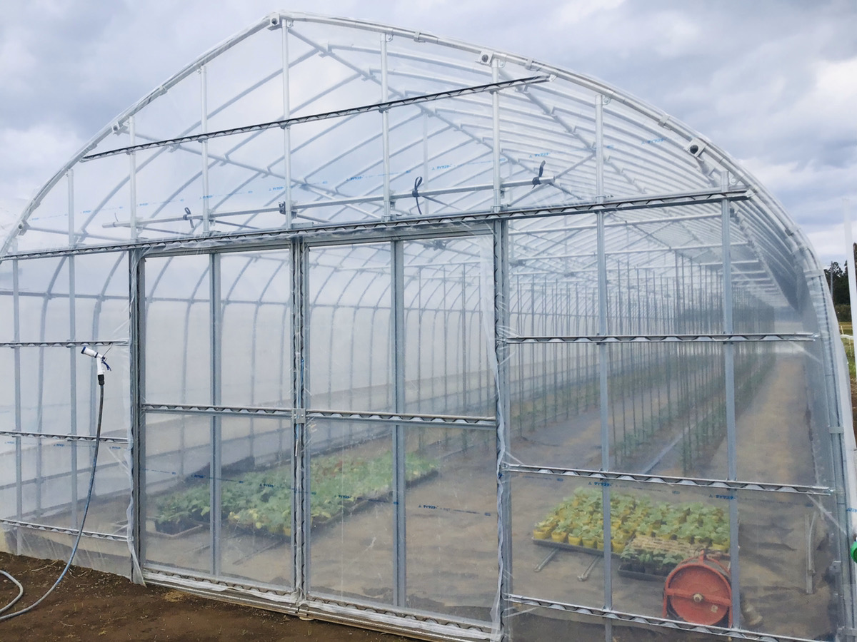 【新規就農】補強ビニールハウス（56坪）|千葉県の施工実績