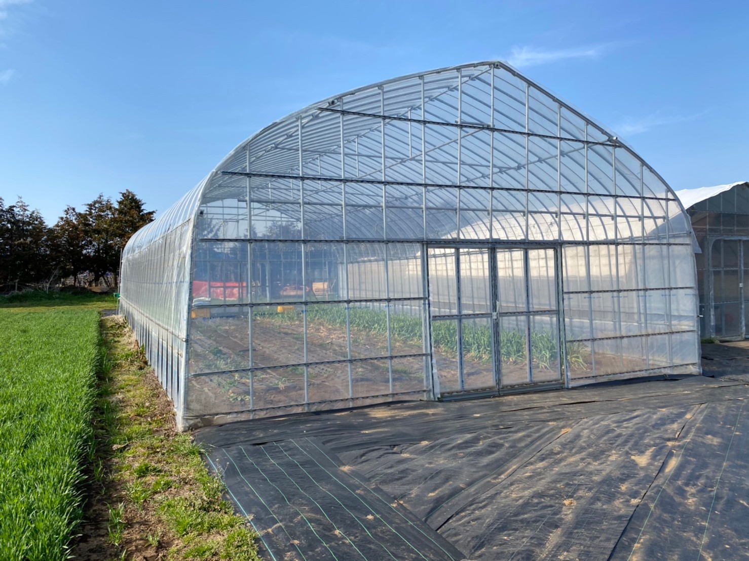 【温室】野菜用ビニールハウス（31坪）|千葉県の施工実績