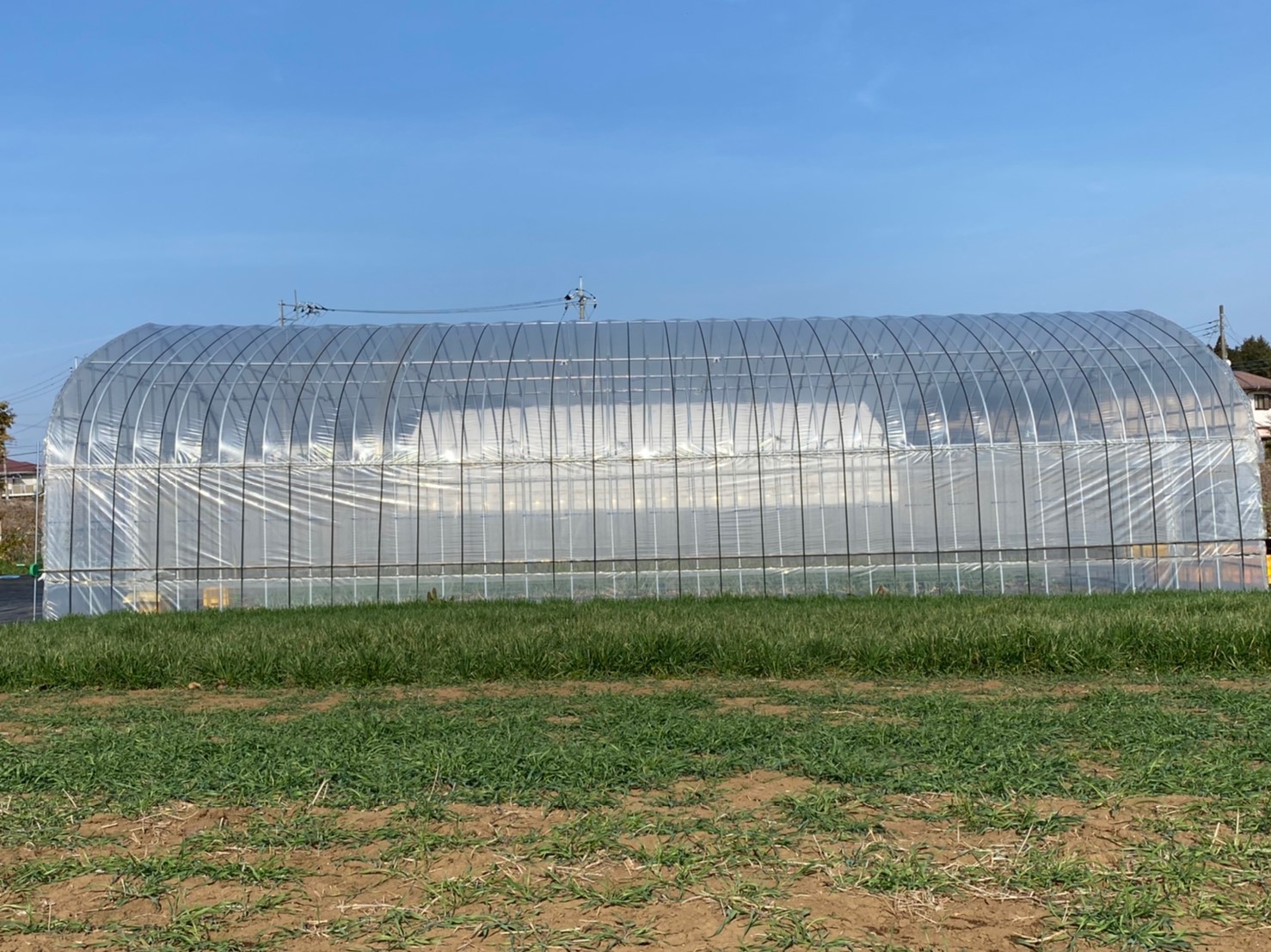 【温室】野菜用ビニールハウス（31坪）|千葉県の施工実績