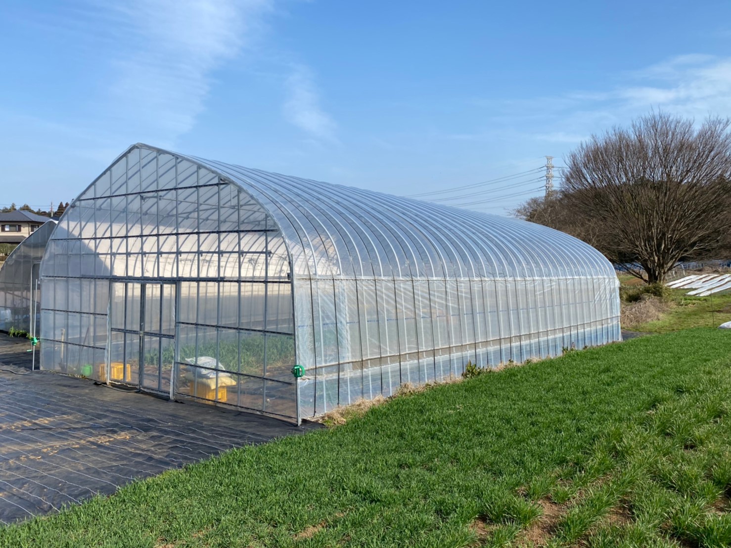 【温室】野菜用ビニールハウス（31坪）|千葉県の施工実績