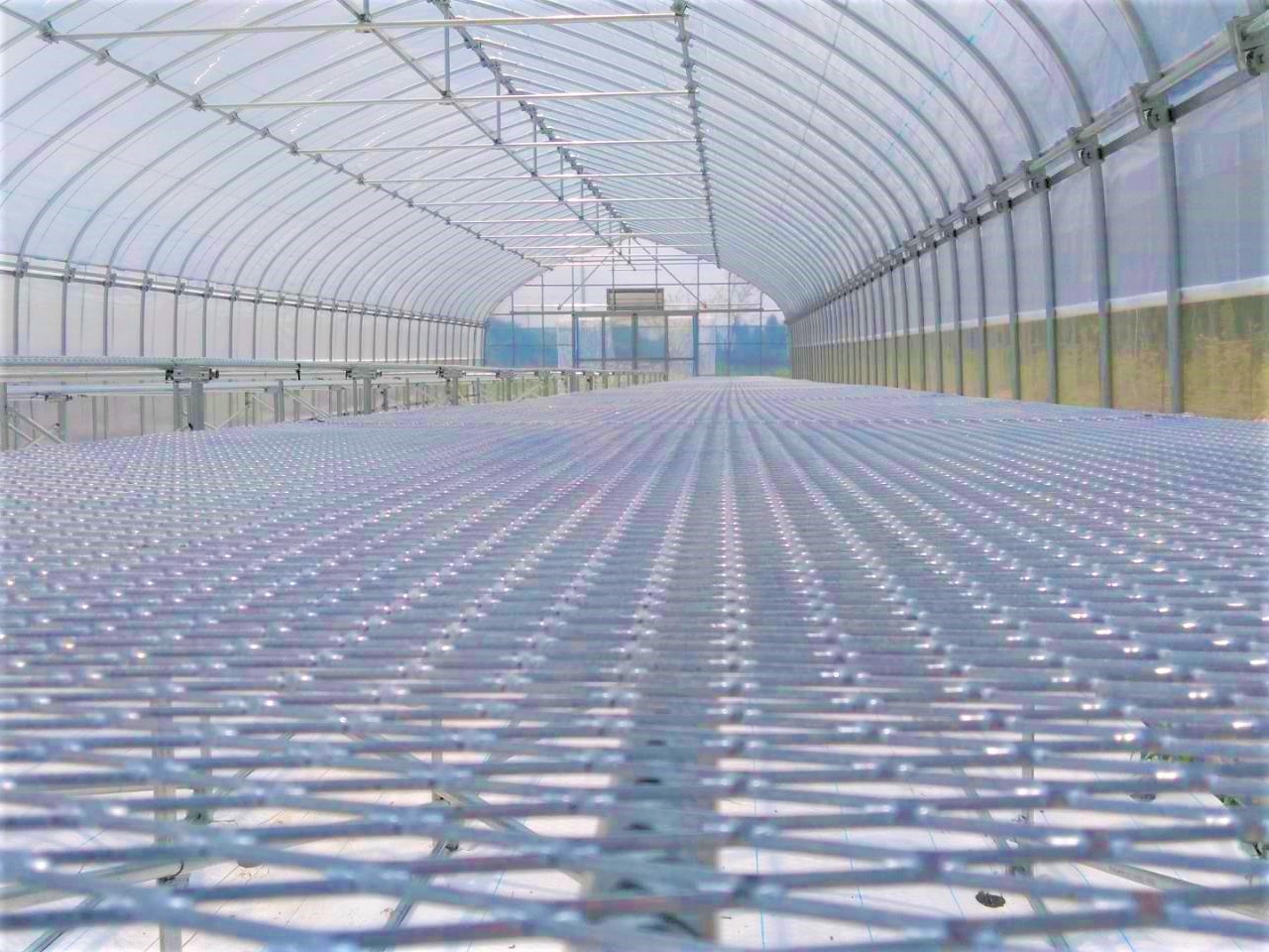 【栽培ベンチ】苺用パイプハウス(45坪)|千葉県の施工実績