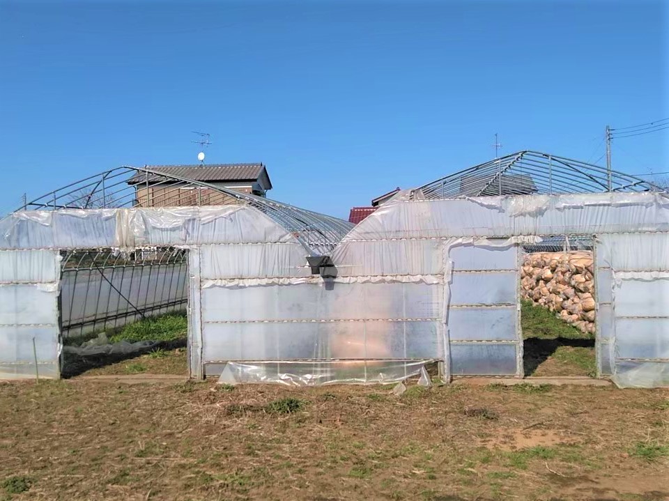 【中古】多品目ビニールハウス張り替え(29坪)|千葉県の施工実績