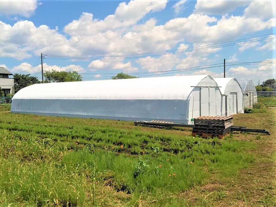 【中古】多品目ビニールハウス張り替え(29坪)|千葉県の施工実績