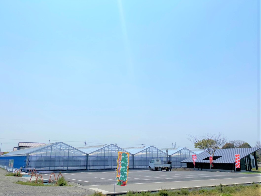 屋根型ハウス(軽量鉄骨)(829坪)|群馬県の施工実績
