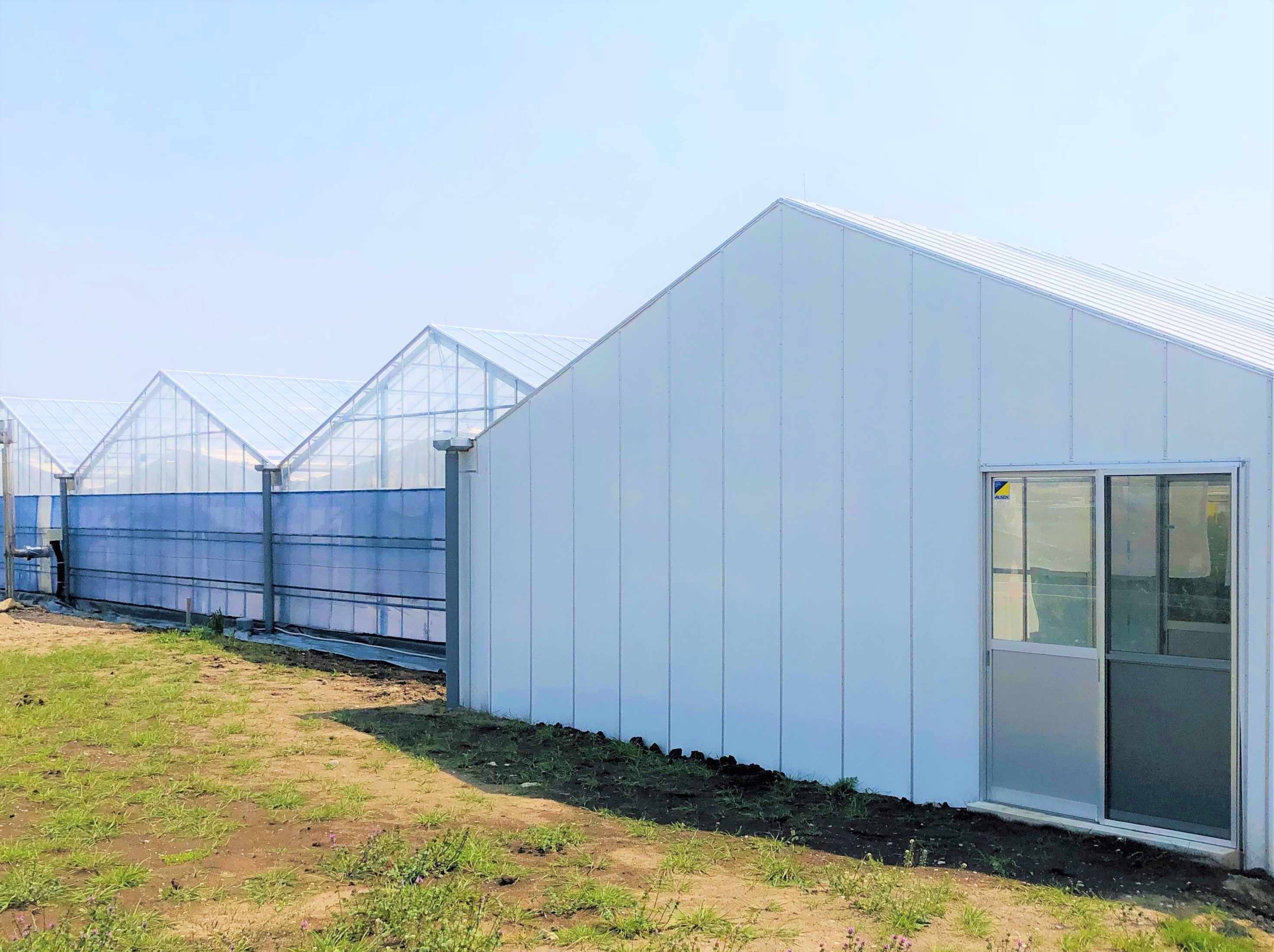 屋根型ハウス(軽量鉄骨)(829坪)|群馬県の施工実績