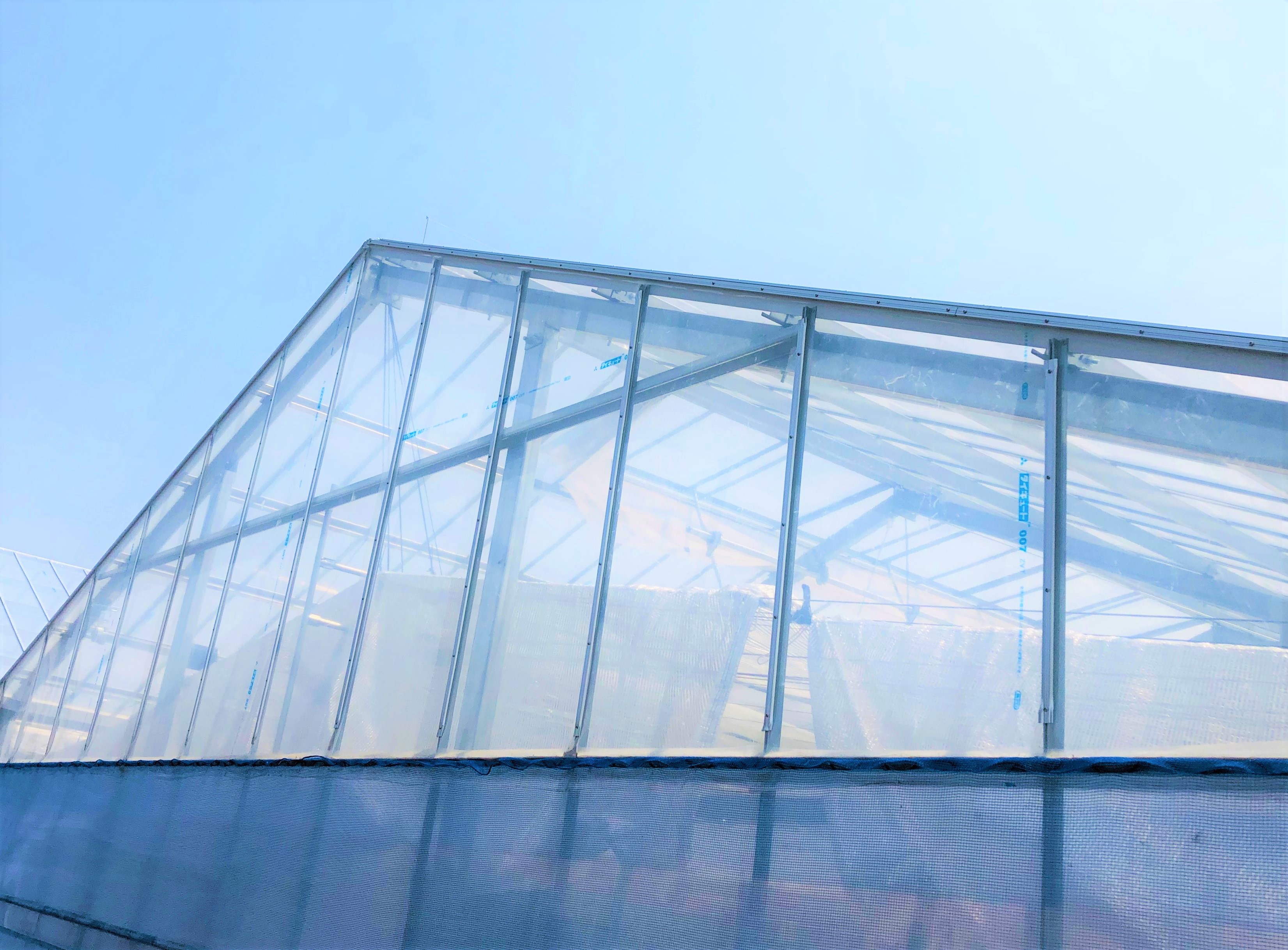 屋根型ハウス(軽量鉄骨)(829坪)|群馬県の施工実績