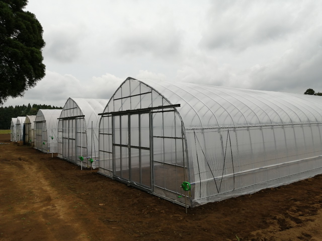 (株)共走|千葉県山武市の施工実績|【5棟】スイカ栽培用パイプハウス（341坪）