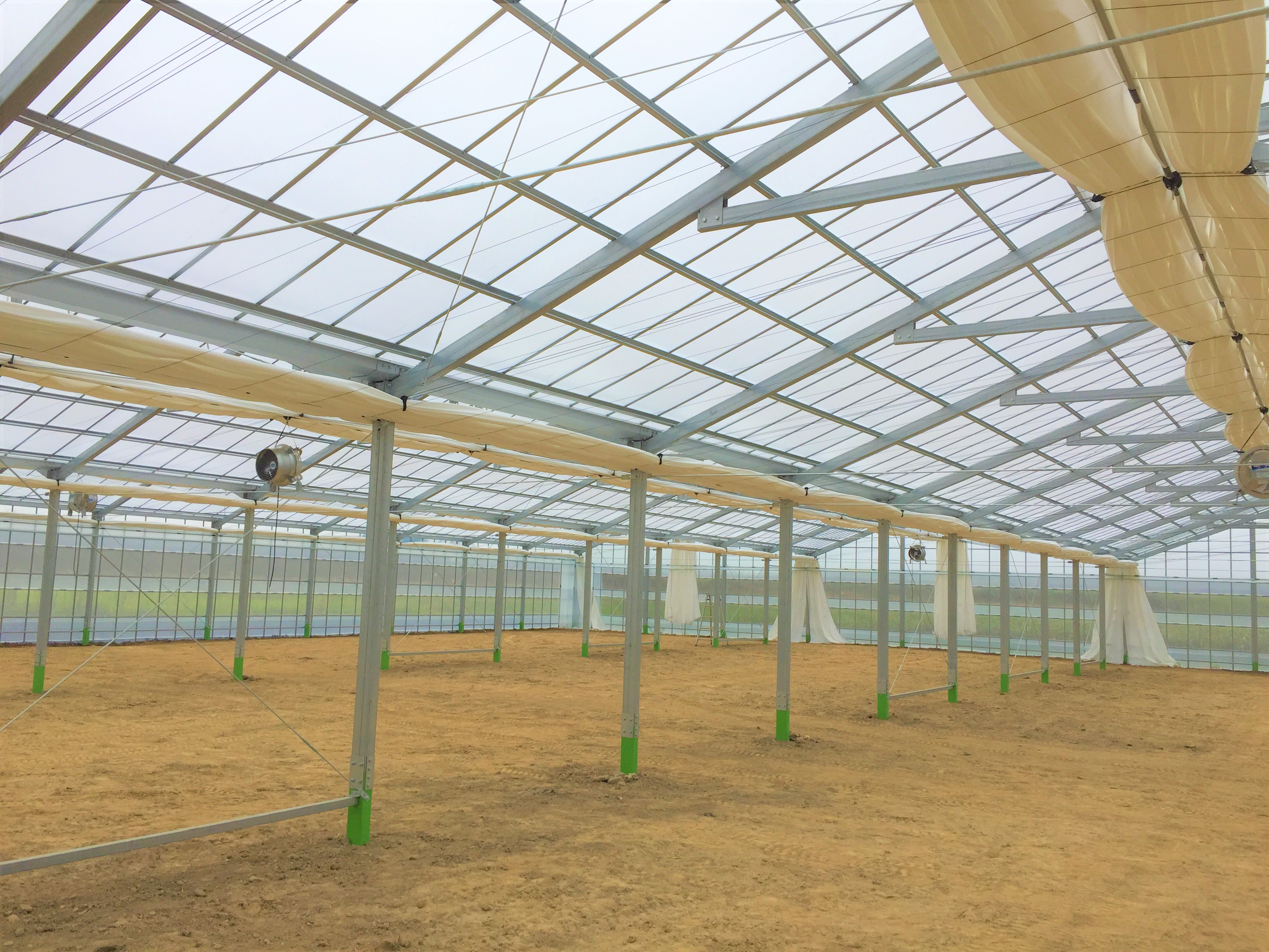 【5連棟】いちご用鉄骨ハウス（614坪）|千葉県の施工実績
