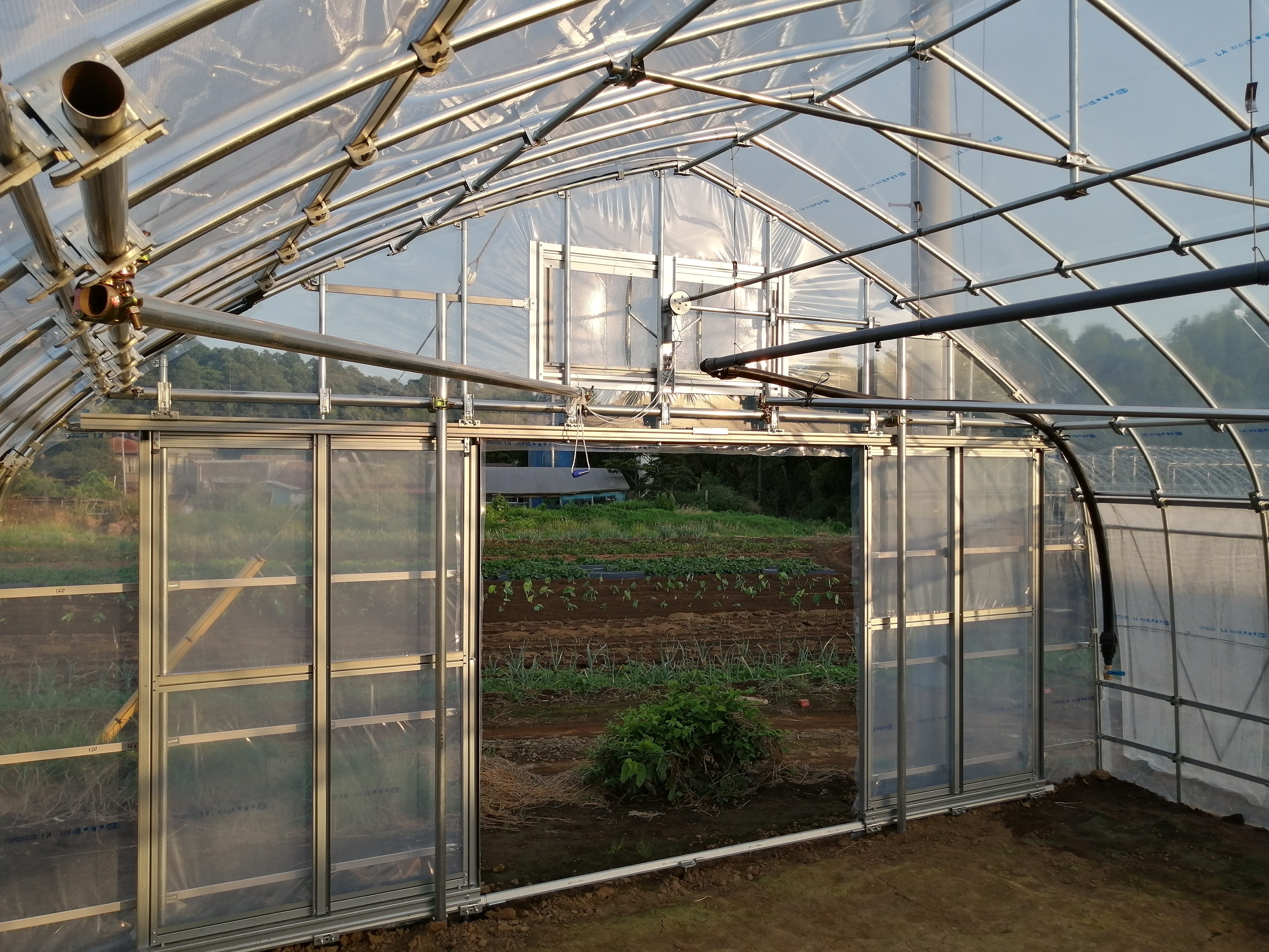 【間口補強】すいか用パイプハウス(861坪)|千葉県の施工実績
