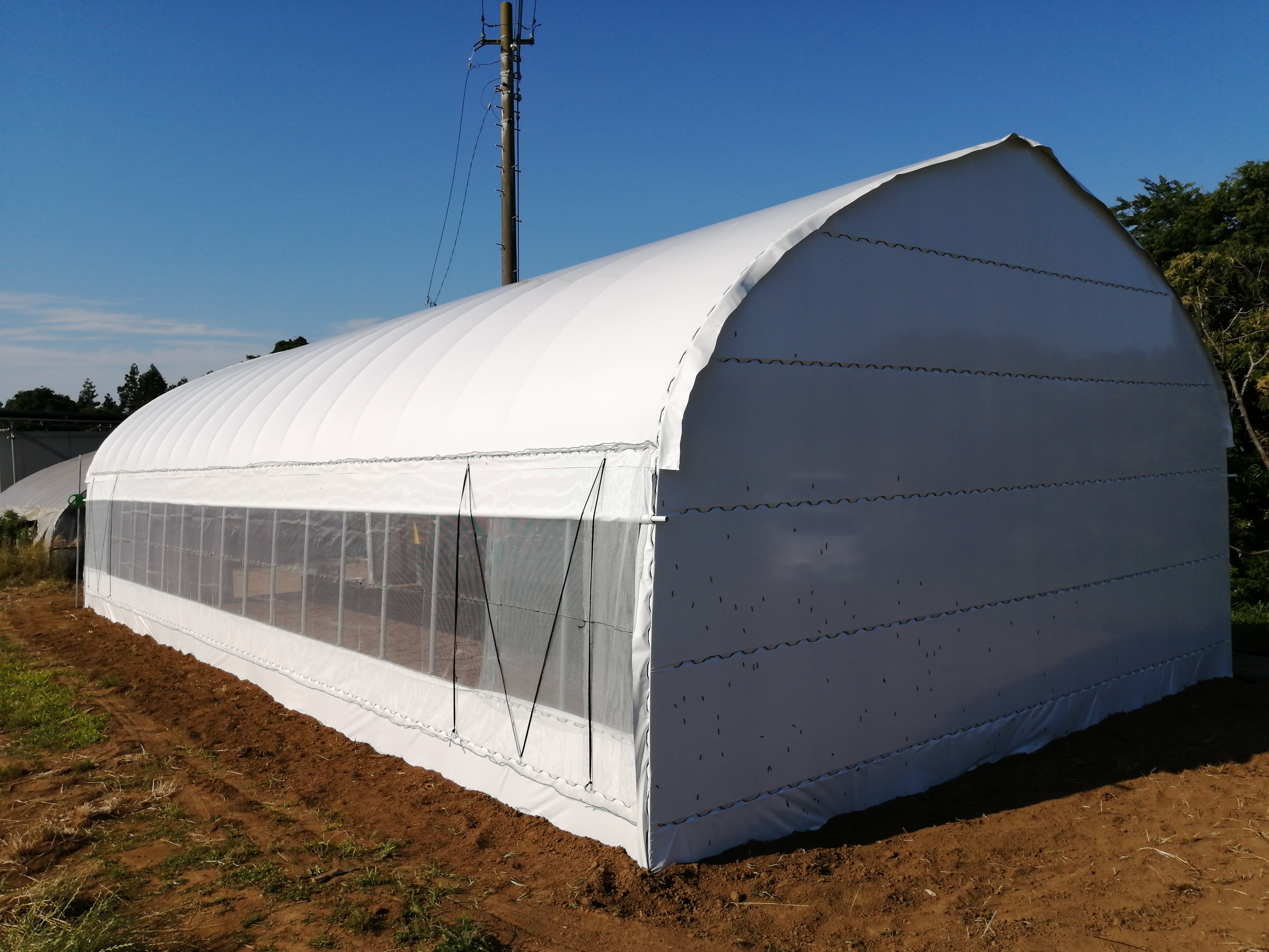 【3間】遮光ビニールハウス（18坪）|千葉県芝山町の施工実績