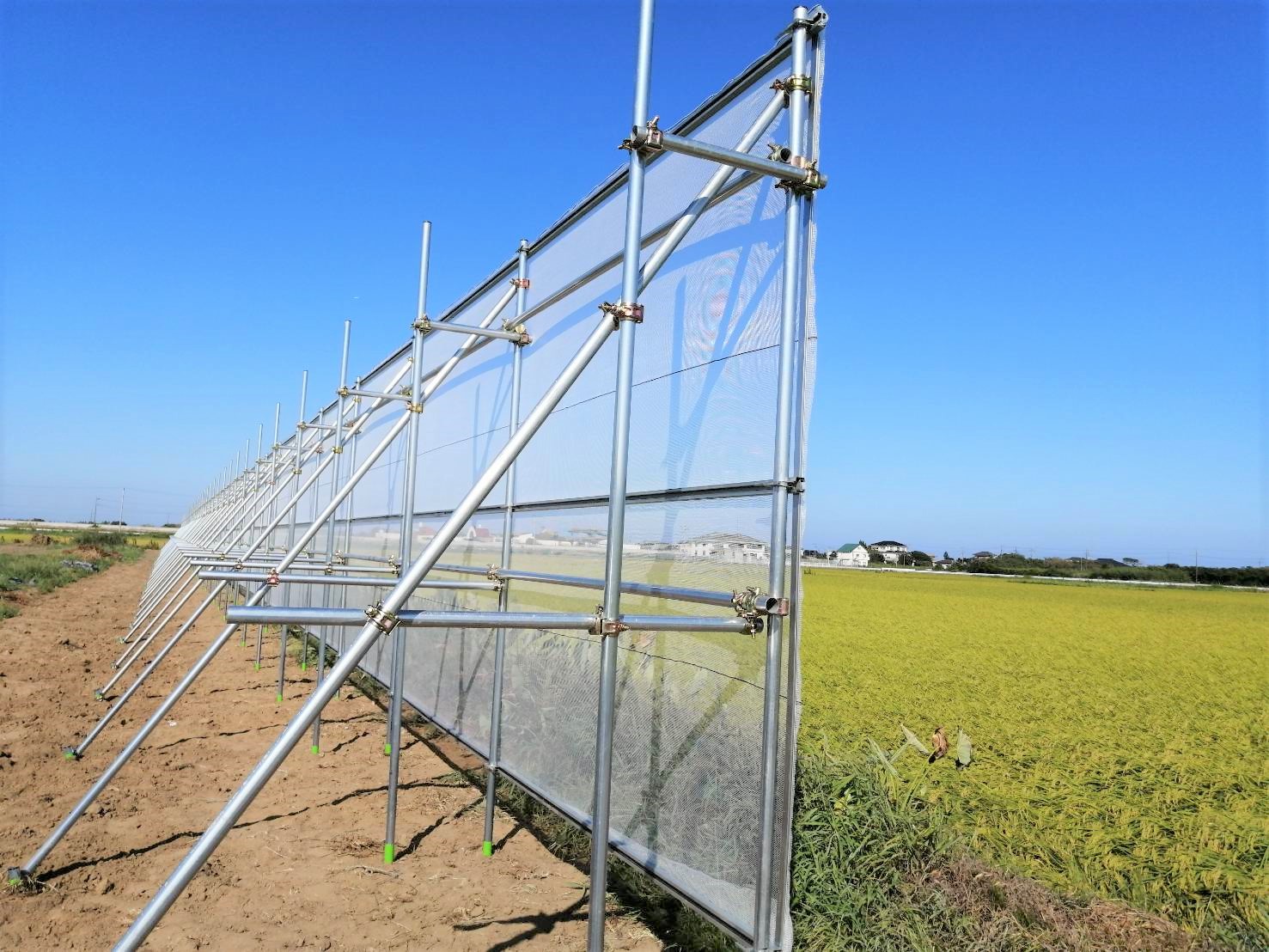 【防風ネット】防風施設（H3mxW100m）|千葉県山武市の施工実績