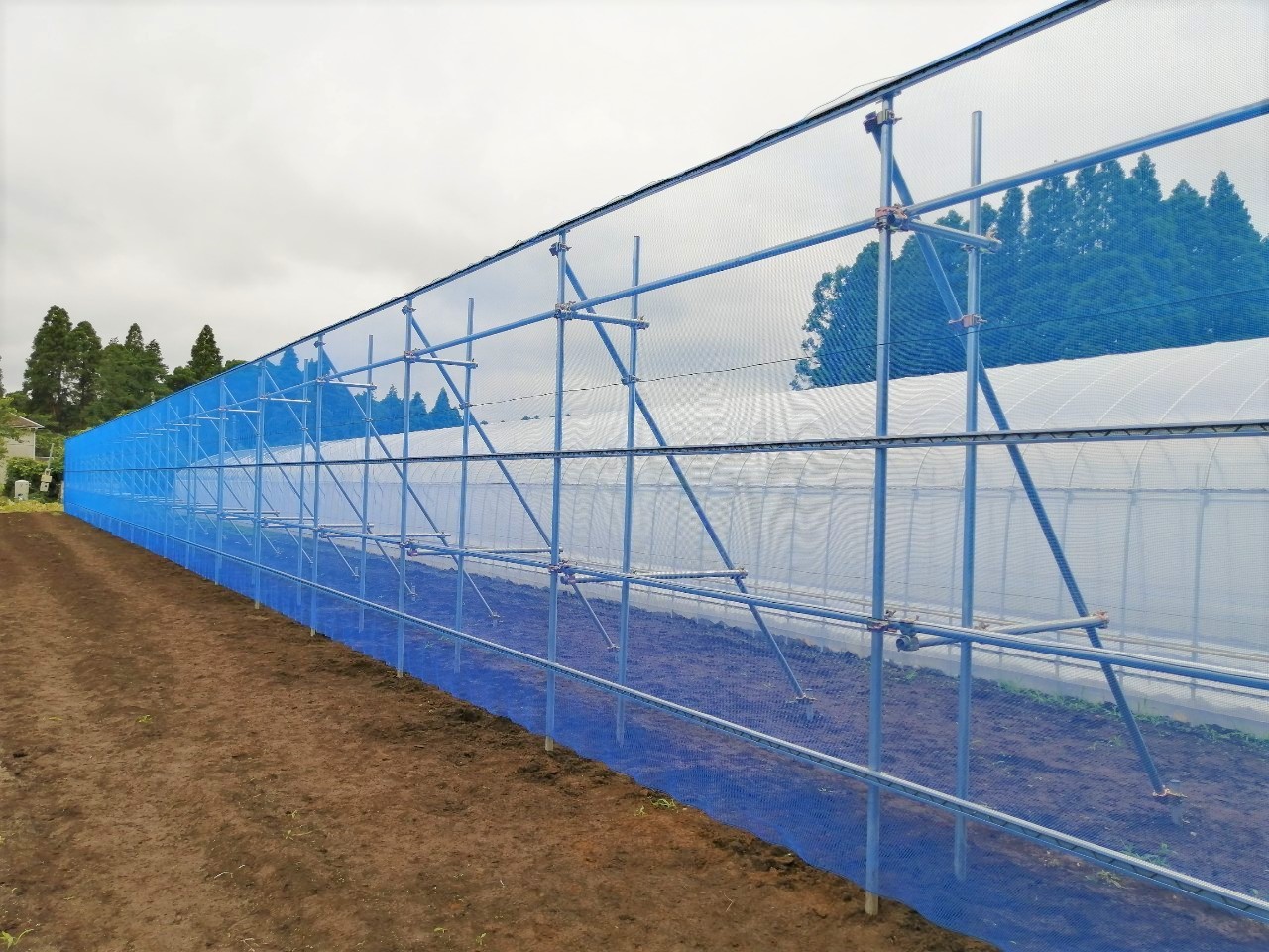 【災害対策】防風施設（H3mxW50m）|千葉県山武市の施工実績