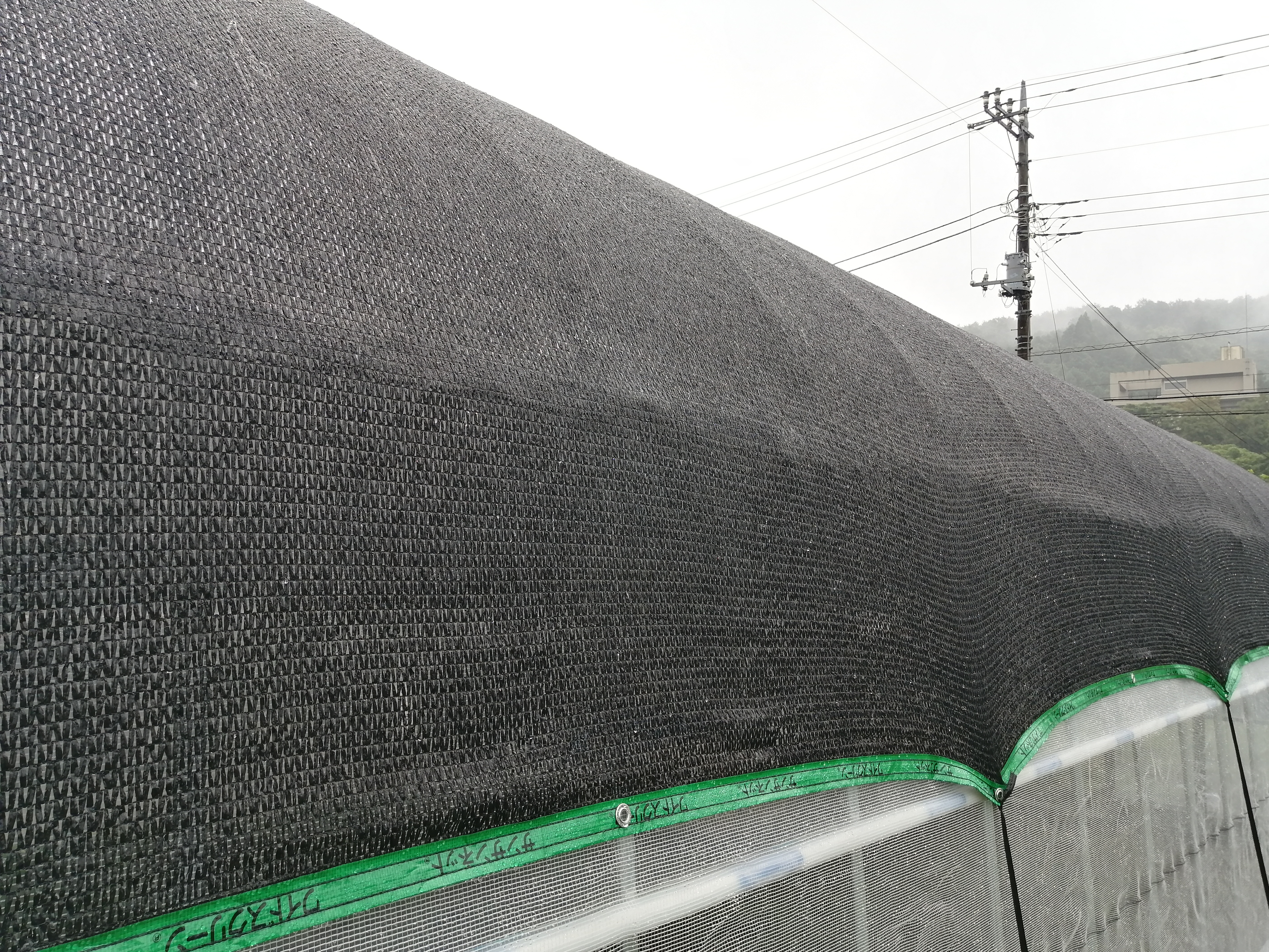 【遮光ネット】榊栽培ビニールハウス(36坪)|東京都の施工実績