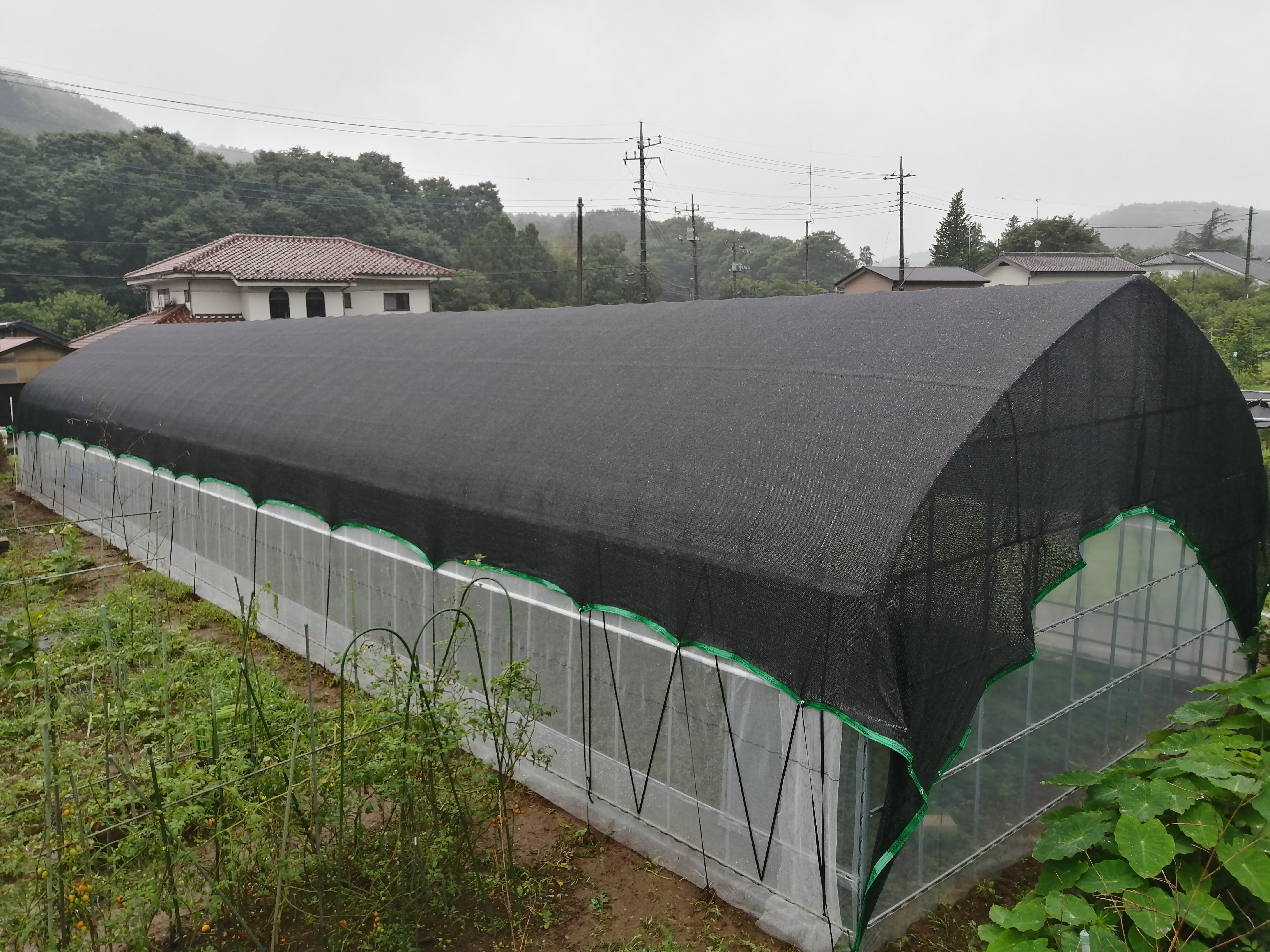 【遮光ネット】榊栽培ビニールハウス(36坪)|東京都の施工実績