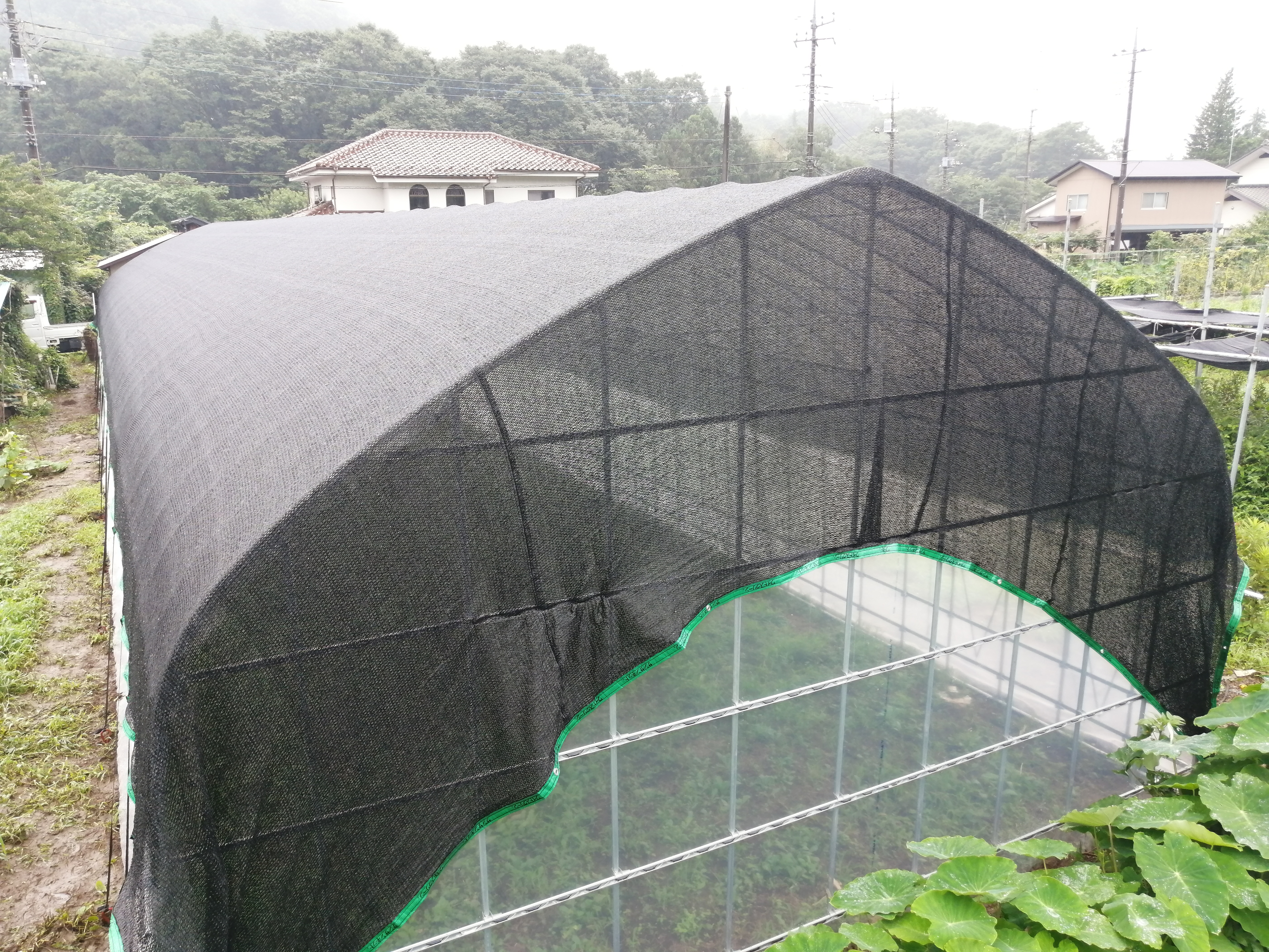【遮光ネット】榊栽培ビニールハウス(36坪)|東京都の施工実績