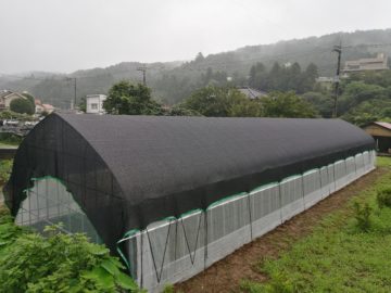 (株)共走|東京都の施工実績|【遮光ネット】榊栽培ビニールハウス（36坪）の画像