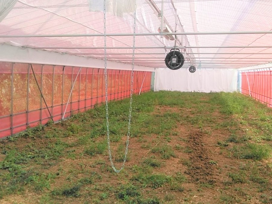 【園芸温室】多肉植物用ビニールハウス(50.2坪)|埼玉県の施工実績