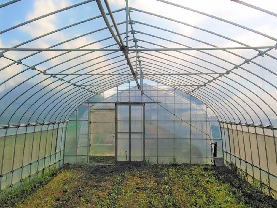 (株)共走|千葉県千葉市の施工実績|【3間】多品目野菜パイプハウス（43坪）