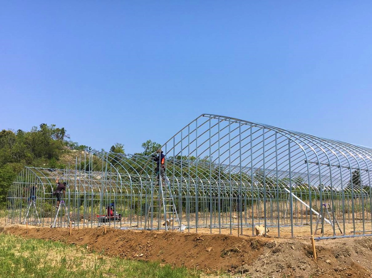 【間口9m】菌床椎茸用パイプハウス（206坪）|千葉県の施工実績