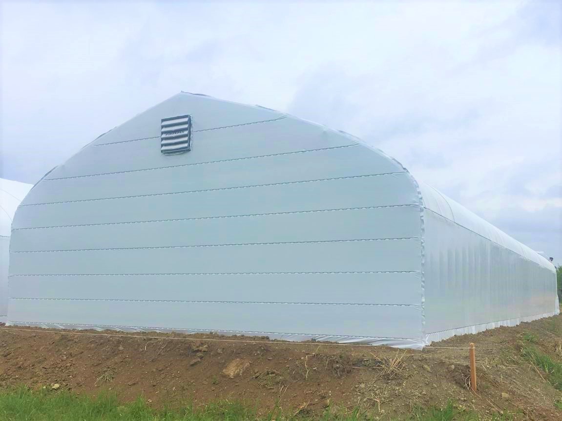 【間口9m】菌床椎茸用パイプハウス（206坪）|千葉県の施工実績