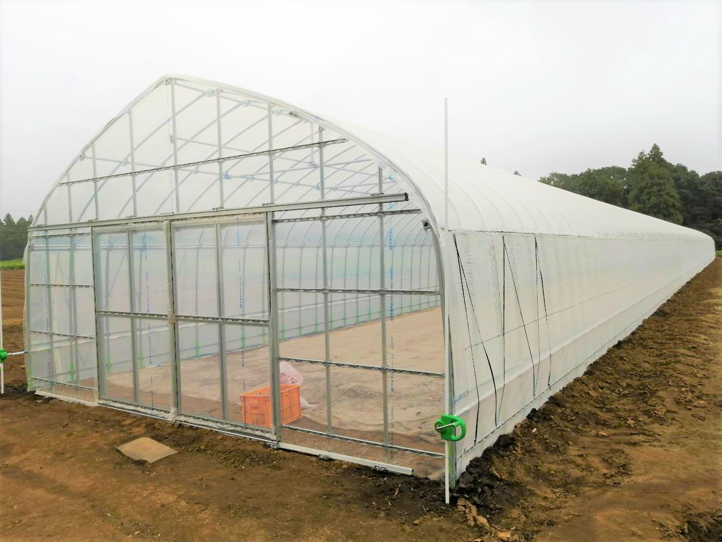 (株)共走|千葉県の施工実績|【台風復旧】3間育苗ビニールハウス(97.2坪)