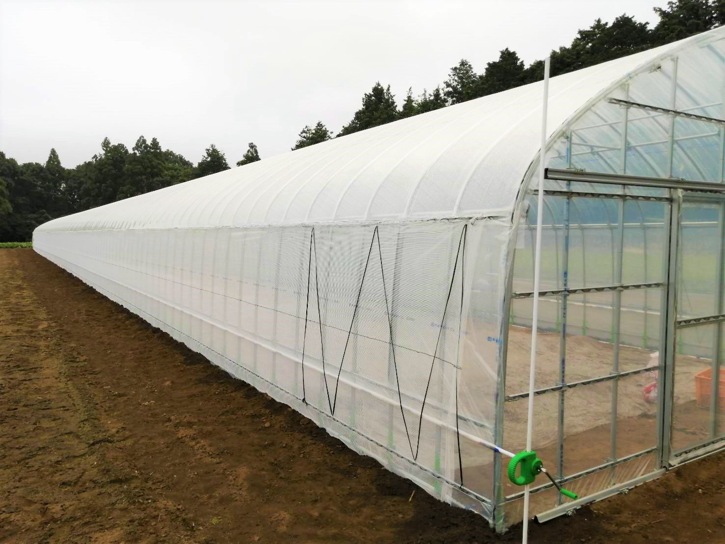 (株)共走|千葉県の施工実績|【台風復旧】3間育苗ビニールハウス(97.2坪)