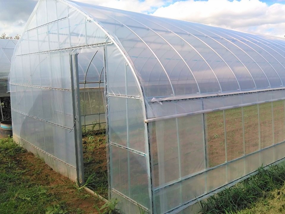 (株)共走|千葉県千葉市の施工実績|【3間】多品目野菜パイプハウス（43坪）